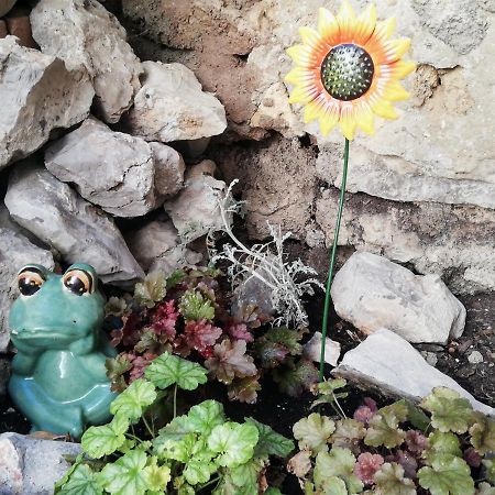 Gigean Charmant Appartement En Centre-Ville Medieval מראה חיצוני תמונה